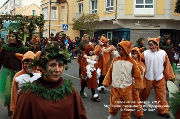 Desfile de Carnaval en Cedeira, 18 de febrero de 2012 - Carnaval Cedeira 2012 - Galicia -fotografía por Fermín Goiriz Díaz (96)