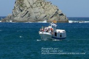 Procesión Marítima en honor de la Patrona de Cedeira - Cedeira, 16 de agosto de 2012 - fotografía por Fermín Goiriz Díaz (284)