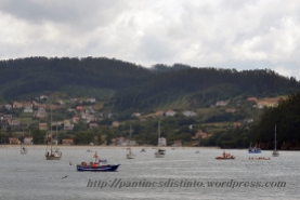 Procesión marítima en honor a la virgen del mar - Cedeira, 16-08-2013 - Fotografía por fermín Goiriz Díaz (15)