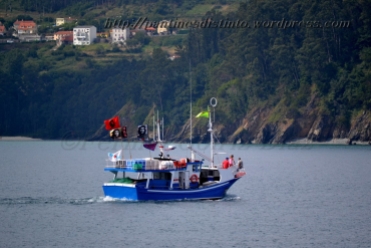 Procesión marítima en honor a la virgen del mar - Cedeira, 16-08-2013 - Fotografía por fermín Goiriz Díaz (5)