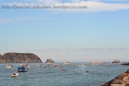 Procesión marítima en honor a la virgen del mar - Cedeira, 16-08-2013 - Fotografía por fermín Goiriz Díaz (60)